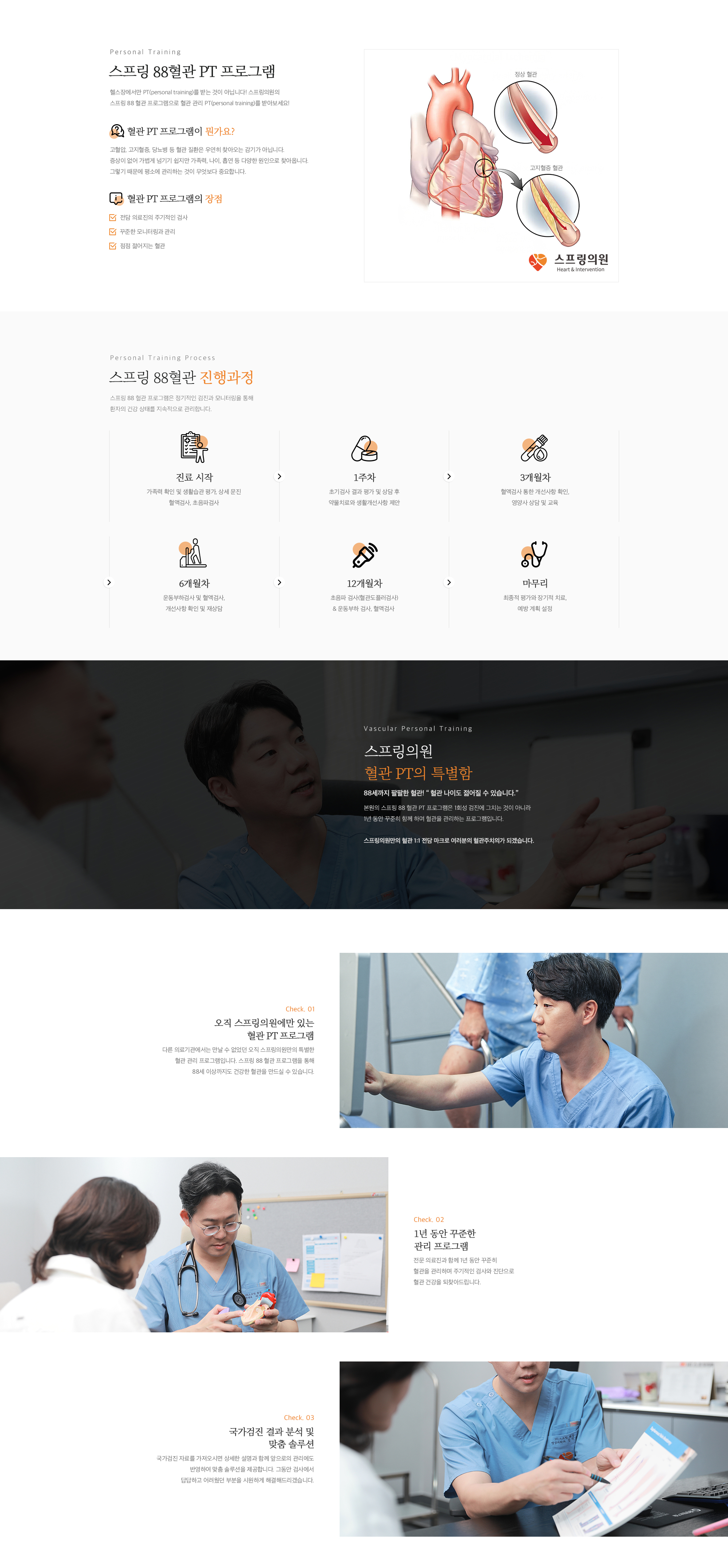 스프링 88 혈관 프로그램